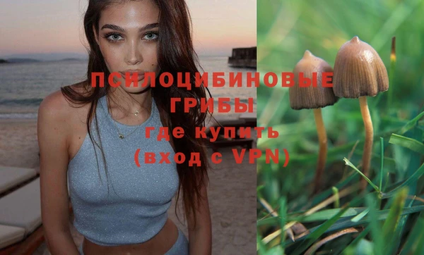 марихуана Богородицк