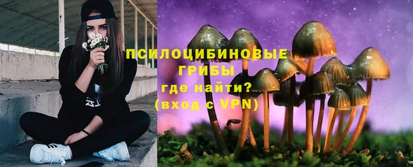 мет Богородск