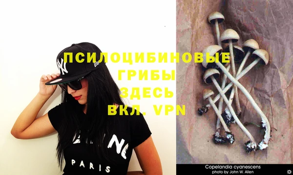 мяу мяу кристалл Богданович