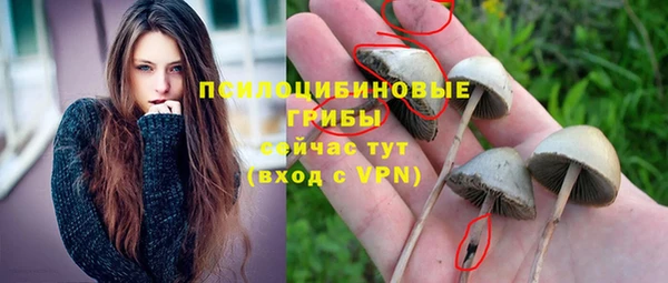 марихуана Богородицк