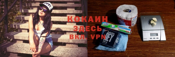 индика Нязепетровск